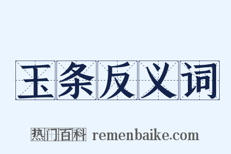 玉条反义词是什么意思的图片